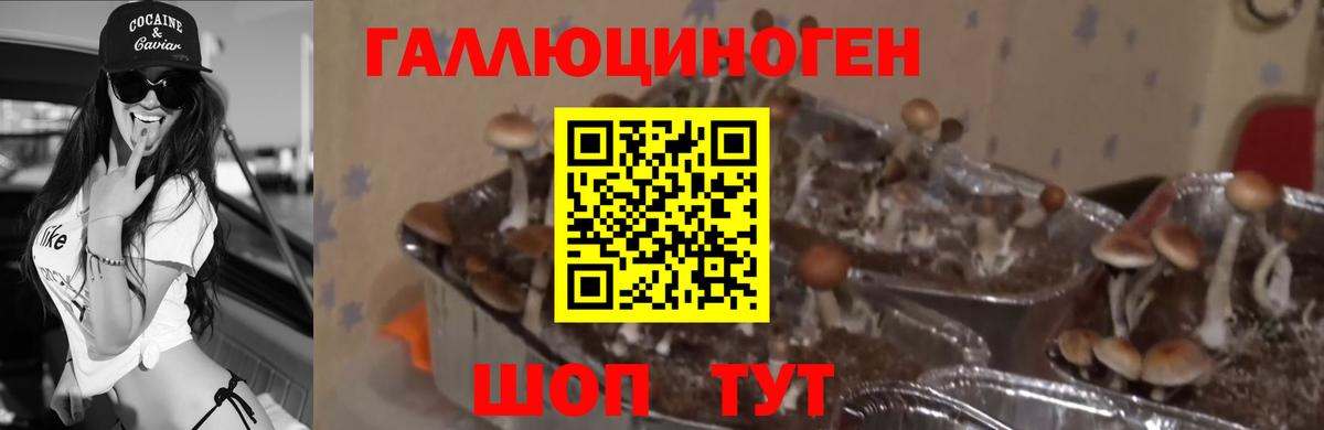 Лиски  Псилоцибиновые грибы ЛСД  как найти закладки  Вход с VPN 